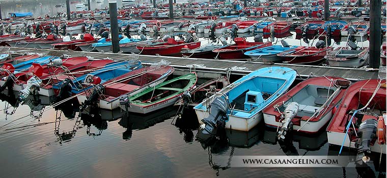 Foto del puerto pesquero de la Isla de Arosa