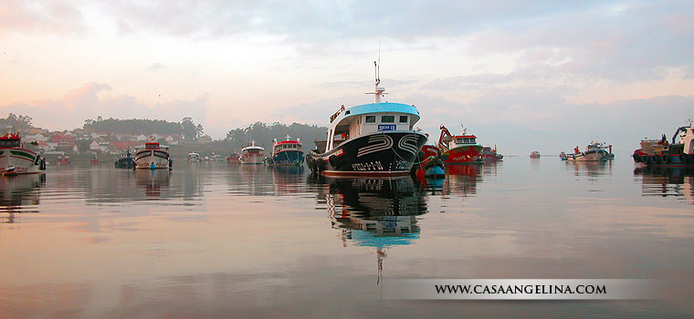 Foto de la flota mejillonera de la Isla de Arosa