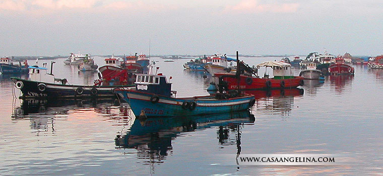 Foto de la flota pesquera de la Isla de Arosa