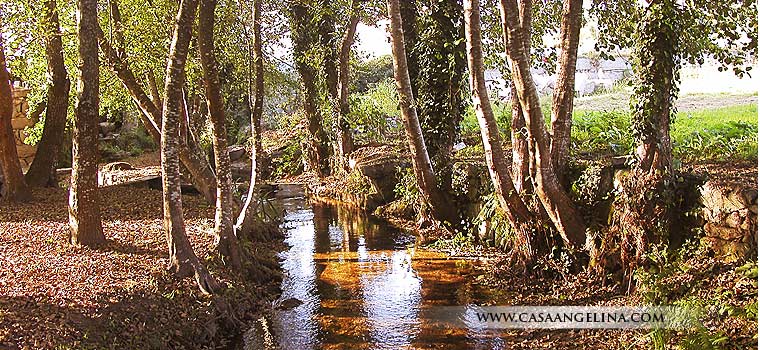 Foto de la ruta de los molinos de Lores en Mea&ntilde;o