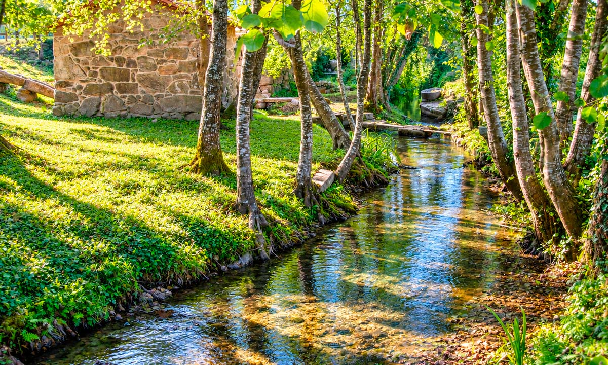 Molino hidráulico y río bajo los árboles en Lores. Meaño